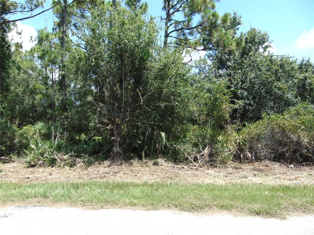 23376 Corinne Avenue Port Charlotte FL 33980 C7513829 image2