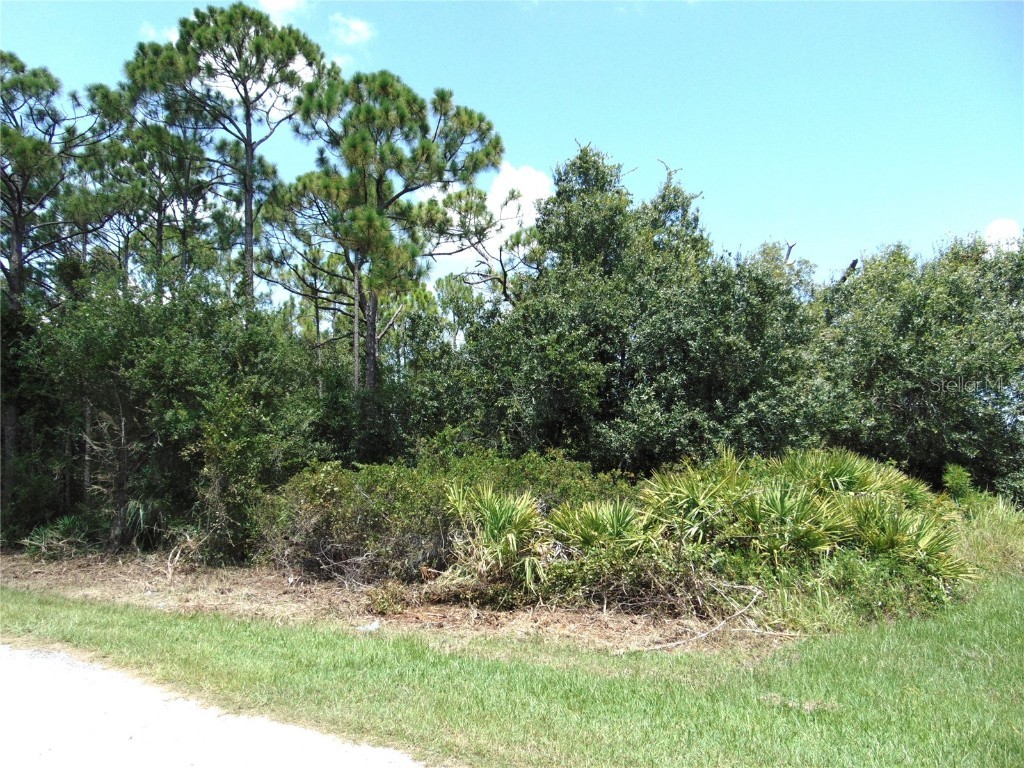 23376 Corinne Avenue Port Charlotte FL 33980 C7513829 image3