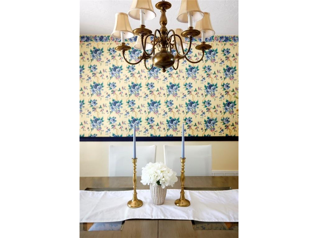 23378 Eppley Drive Brooksville FL 34601 W7880183 image13