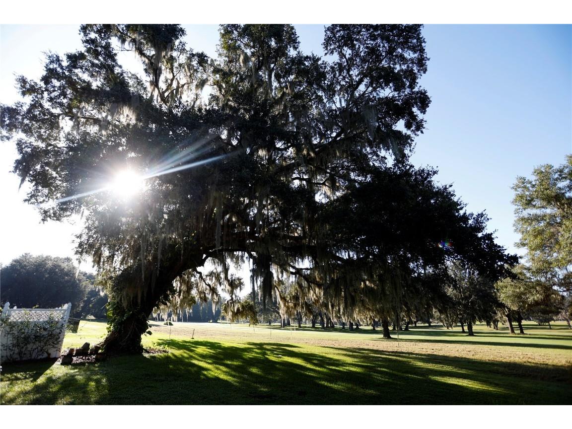 23378 Eppley Drive Brooksville FL 34601 W7880183 image59