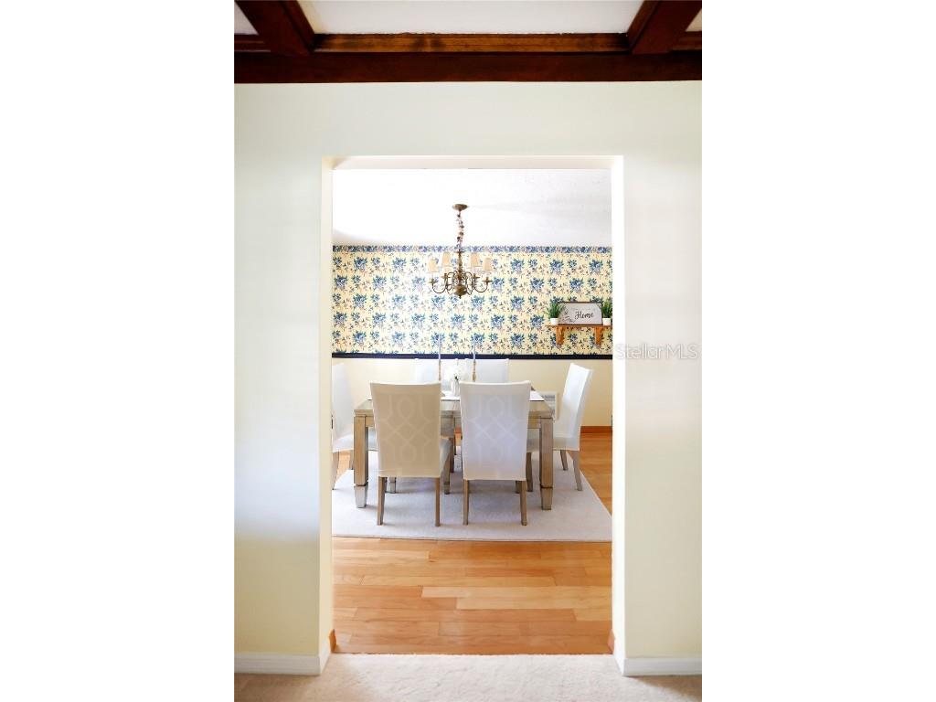 23378 Eppley Drive Brooksville FL 34601 W7880183 image9