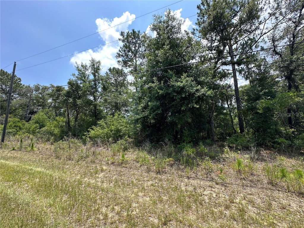 2338 W Riley Drive Citrus Springs FL 34434 GC522322 image1