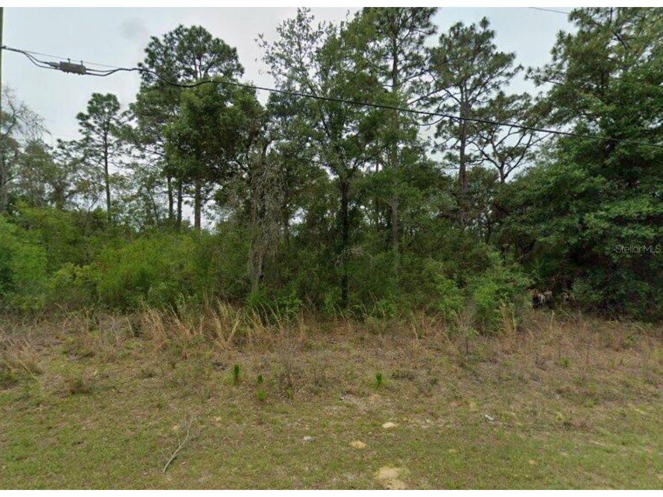 2338 W Riley Drive Citrus Springs FL 34434 O6374269 image1