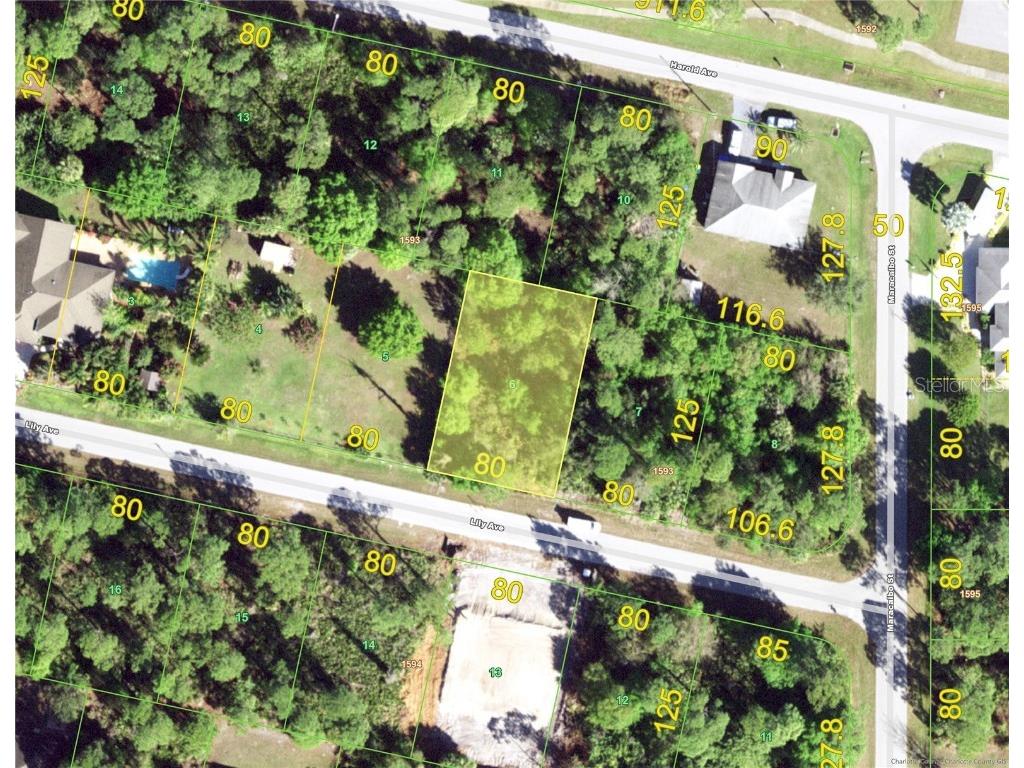 23388 Lily Avenue Port Charlotte FL 33980 D6131696 image1