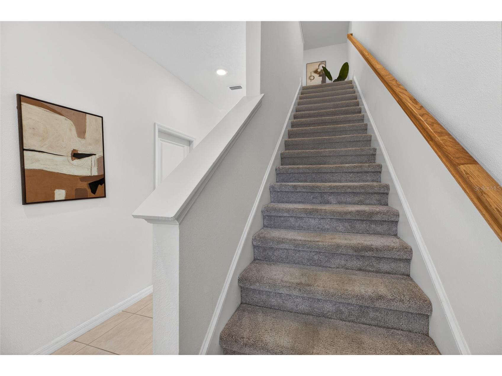 2339 Alee Lane Wesley Chapel FL 33543 TB8496826 image22