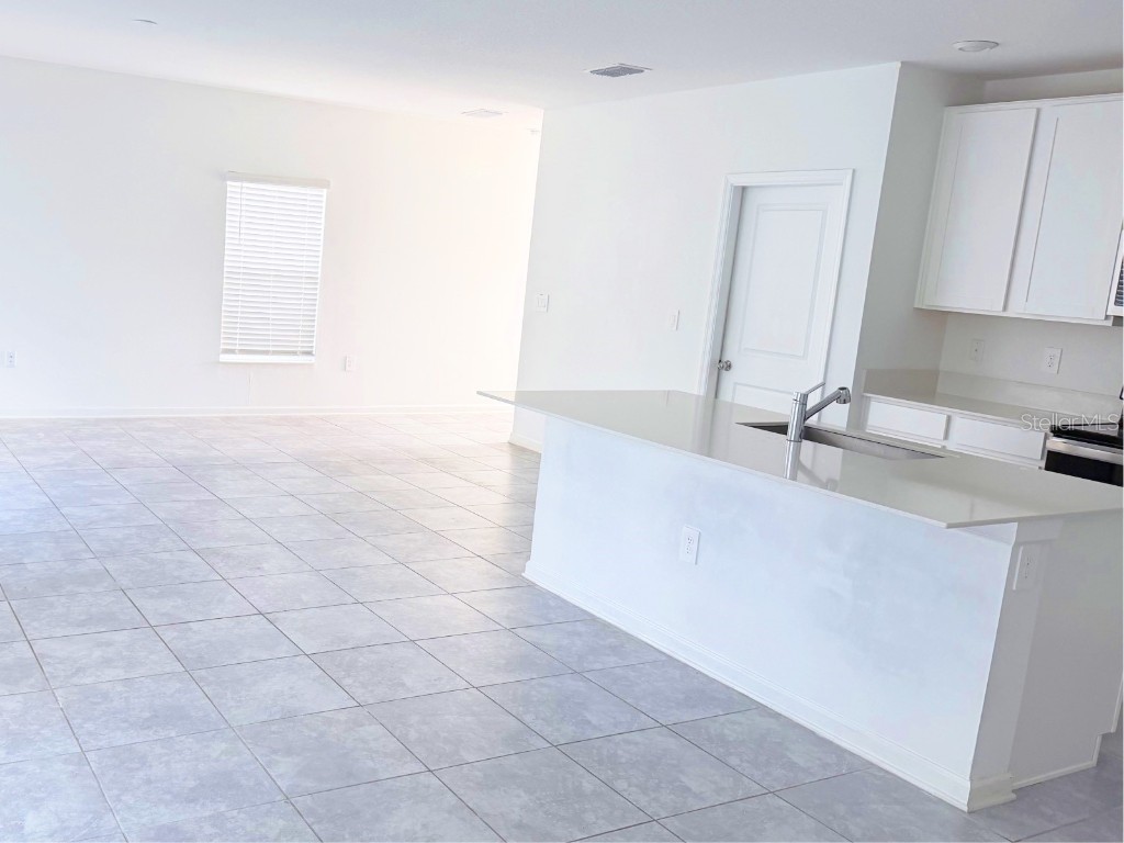 2339 Burney Falls Lane Davenport FL 33837 S5141237 image8