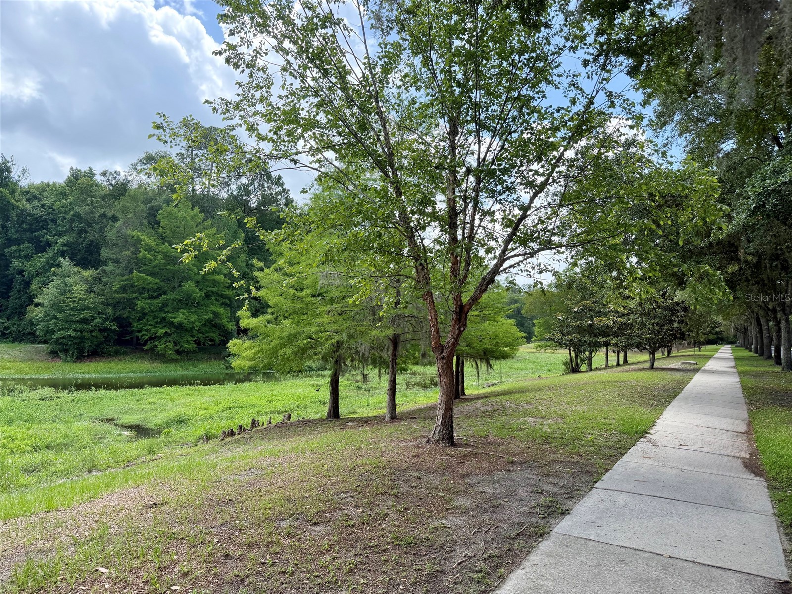 2339 NW 31st Place Gainesville FL 32605 GC540691 image26