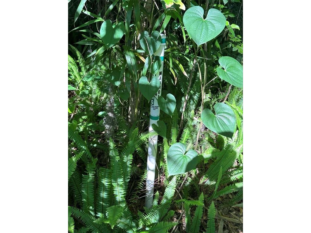 2339 SE Hawthorne Road Gainesville FL 32641 TB8420277 image10