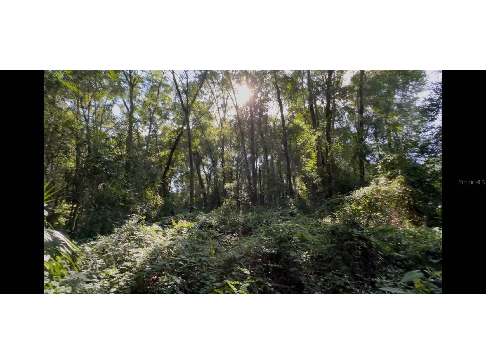 2339 SE Hawthorne Road Gainesville FL 32641 TB8420277 image14