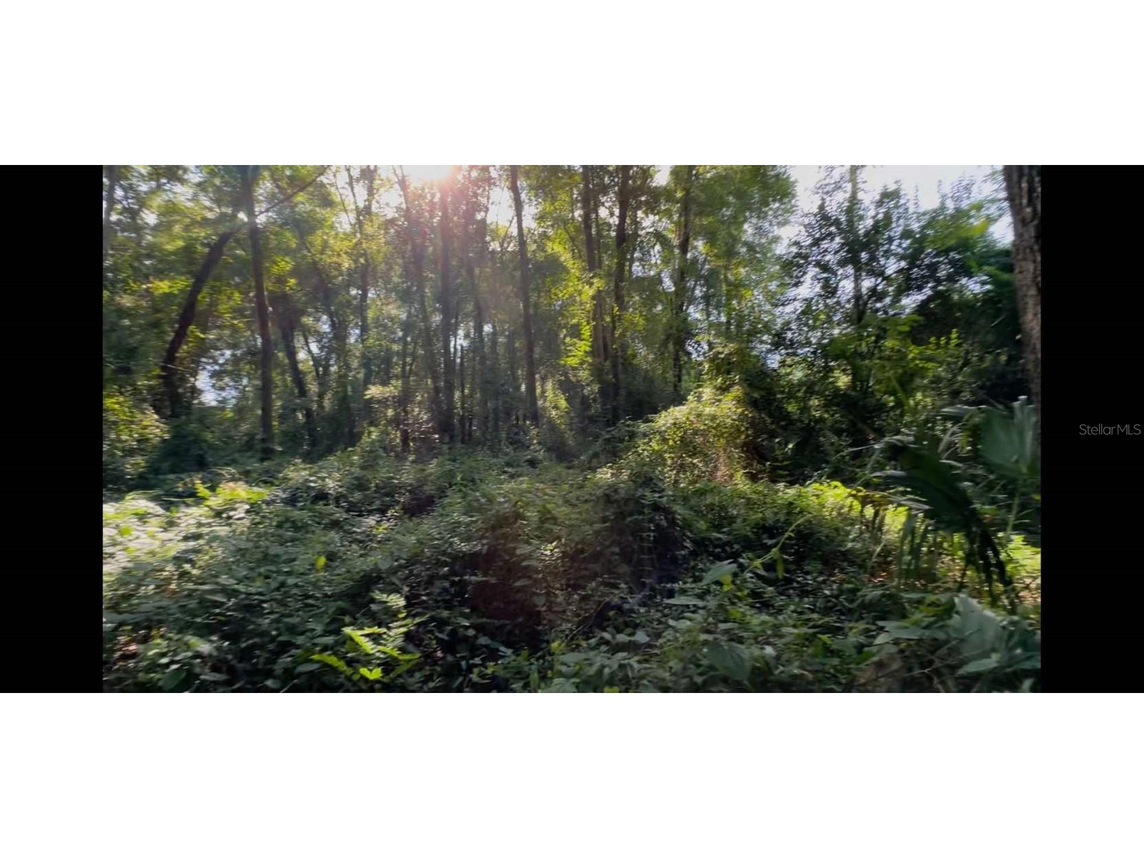 2339 SE Hawthorne Road Gainesville FL 32641 TB8420277 image15