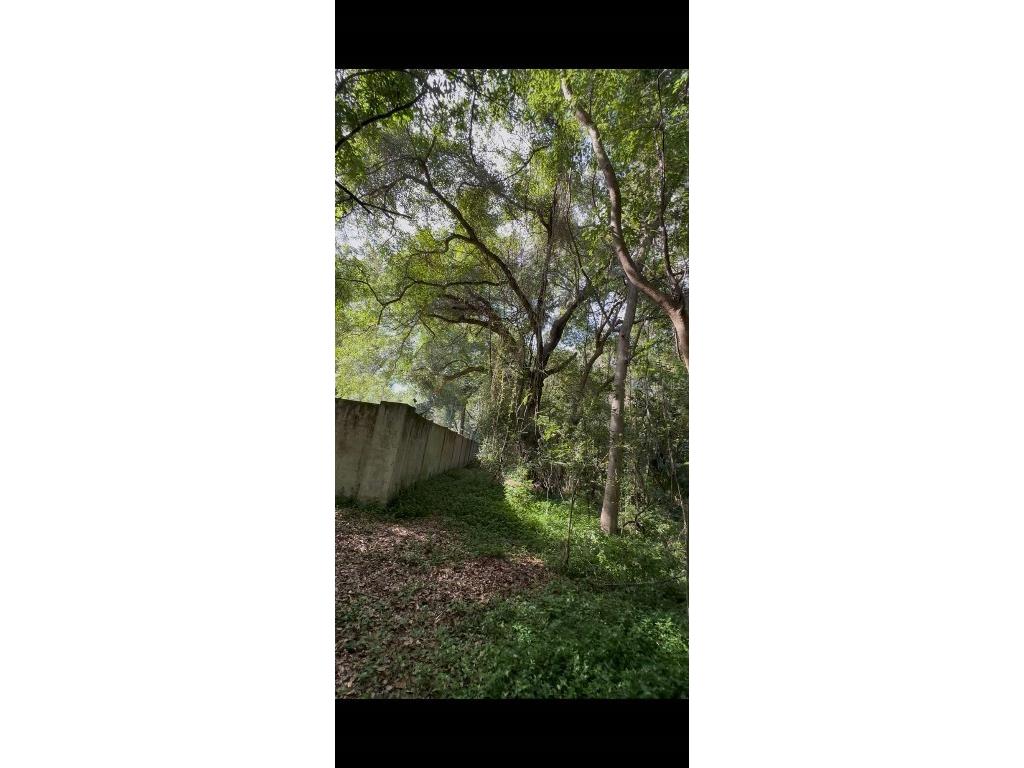 2339 SE Hawthorne Road Gainesville FL 32641 TB8420277 image16