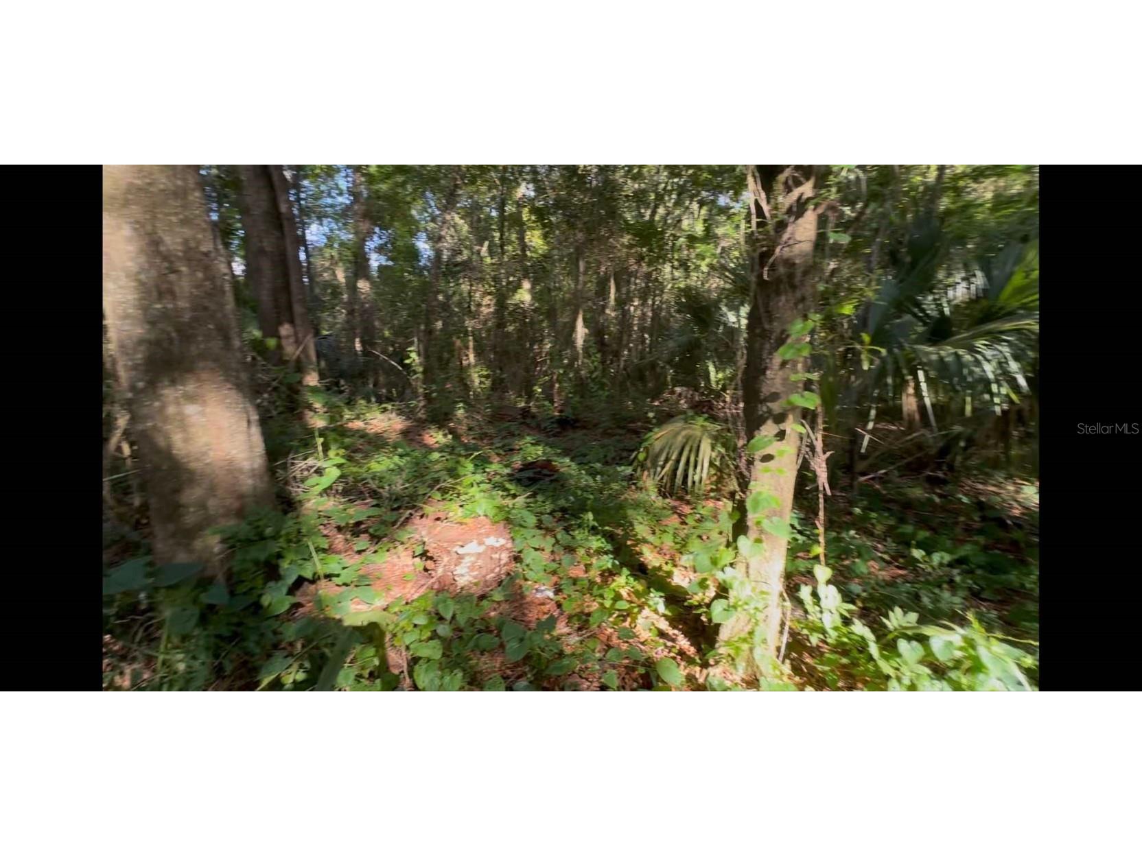 2339 SE Hawthorne Road Gainesville FL 32641 TB8420277 image17