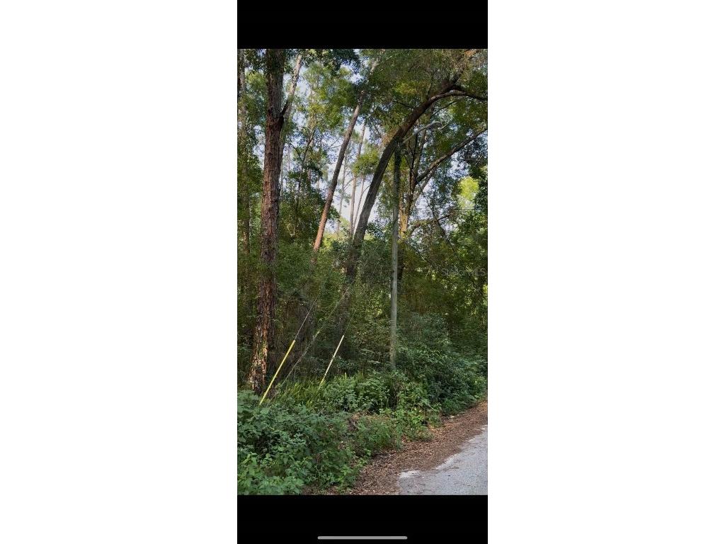 2339 SE Hawthorne Road Gainesville FL 32641 TB8420277 image18