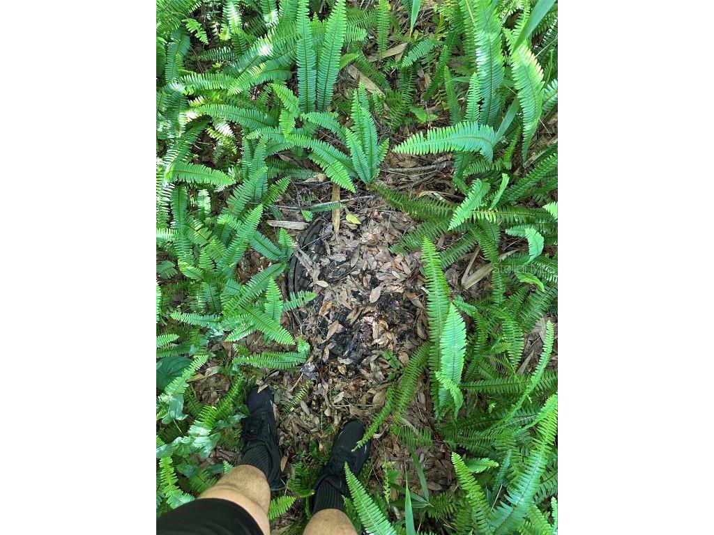 2339 SE Hawthorne Road Gainesville FL 32641 TB8420277 image6