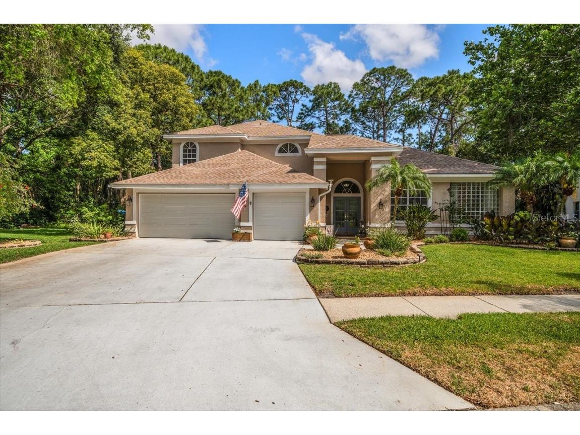 2339 Warwick Drive Oldsmar FL 34677 U8239816 image1
