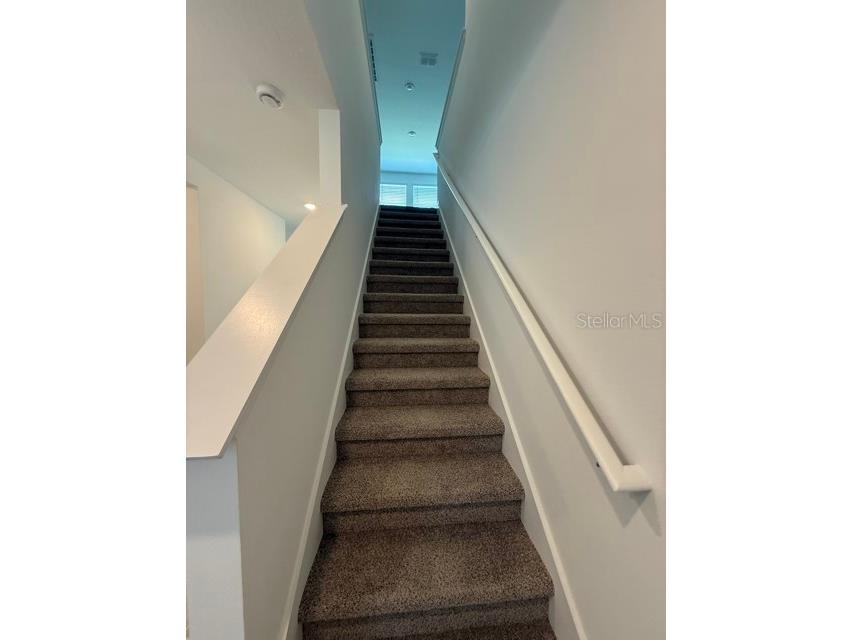 2339 White Tail Street Davenport FL 33837 O6368853 image11