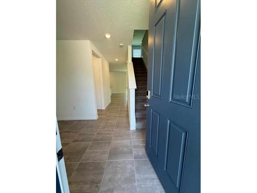 2339 White Tail Street Davenport FL 33837 O6368853 image3