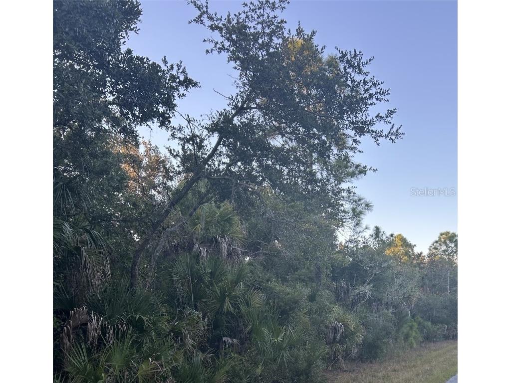 23391 Buckner Avenue Port Charlotte FL 33980 D6144638 image1