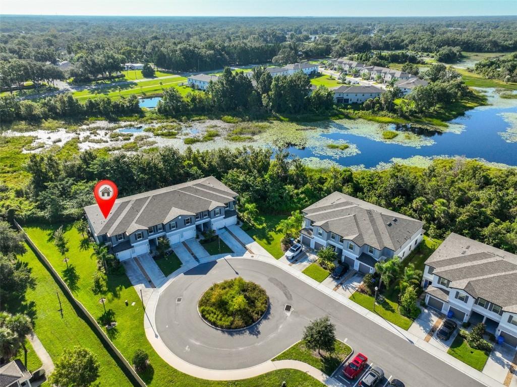 23398 Papyrus Way Lutz FL 33549 TB8424796 image1