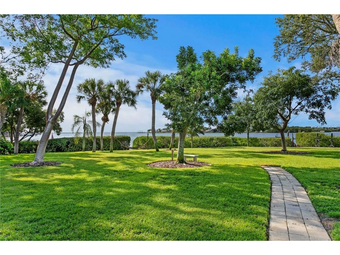 234 Driftwood Road SE Saint Petersburg FL 33705 - BIG BAYOU TB8415294 image12