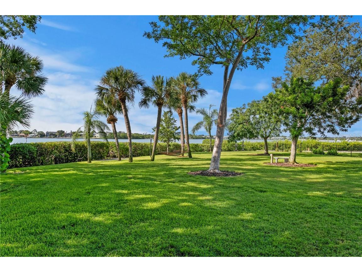 234 Driftwood Road SE Saint Petersburg FL 33705 - BIG BAYOU TB8415294 image13