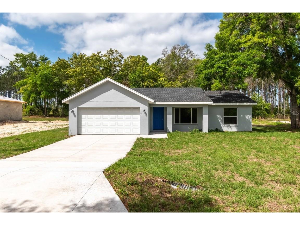 234 Malauka Loop Ocklawaha FL 32179 OM685953 image1