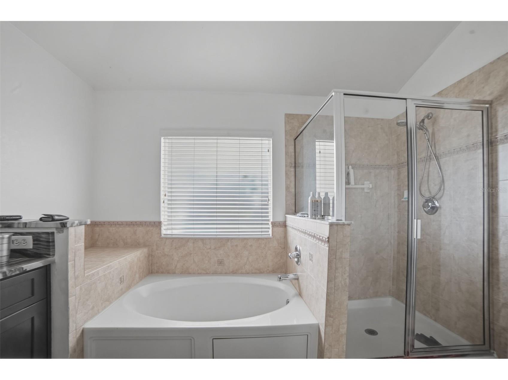 234 Towerview Drive E Haines City FL 33844 O6405668 image22