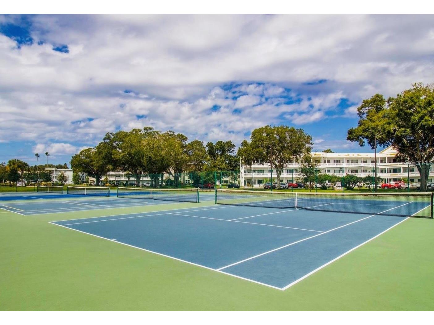 2340 Grecian Way #56 Clearwater FL 33763 TB8522438 image39