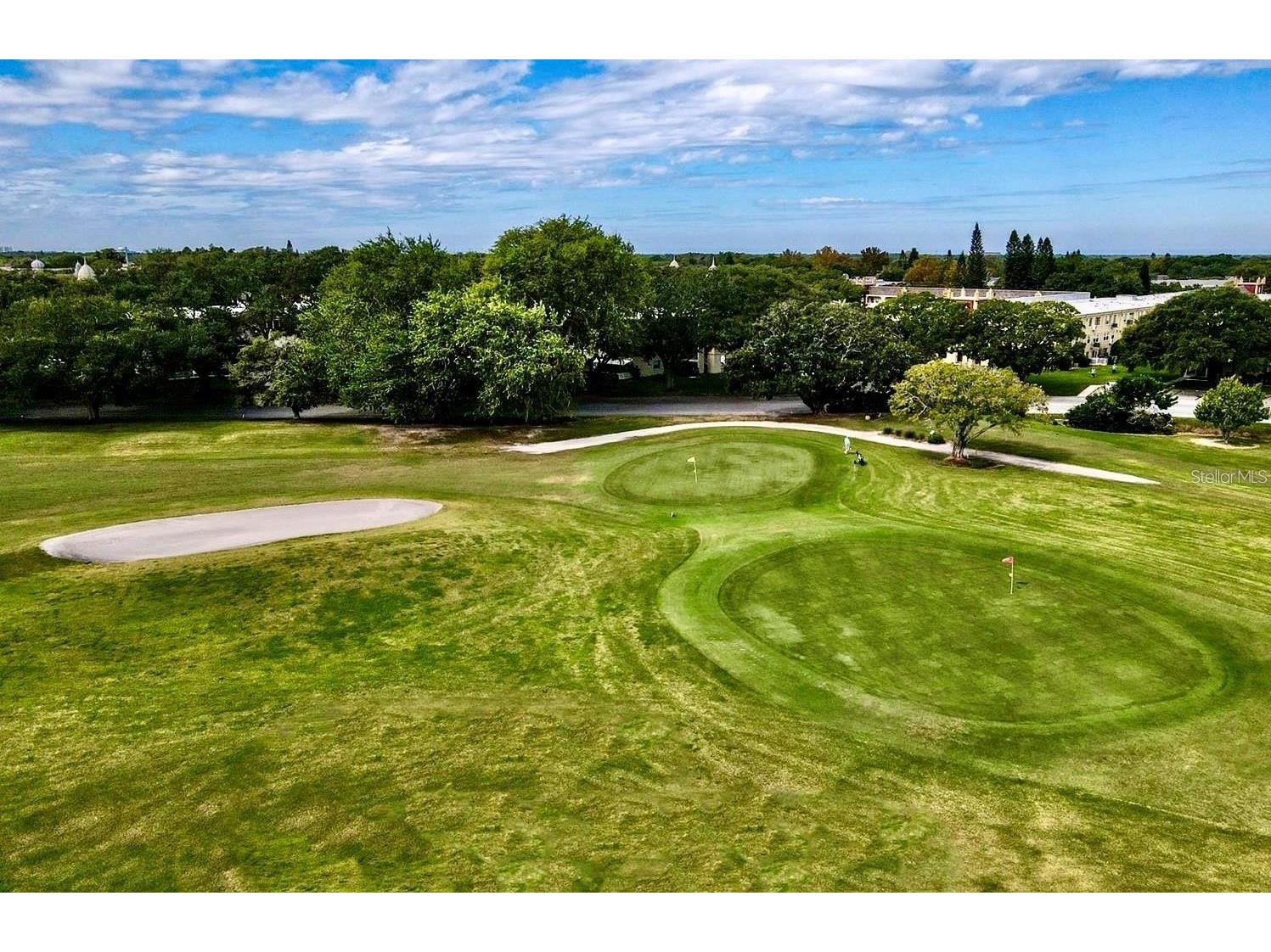 2340 Grecian Way #56 Clearwater FL 33763 TB8522438 image40