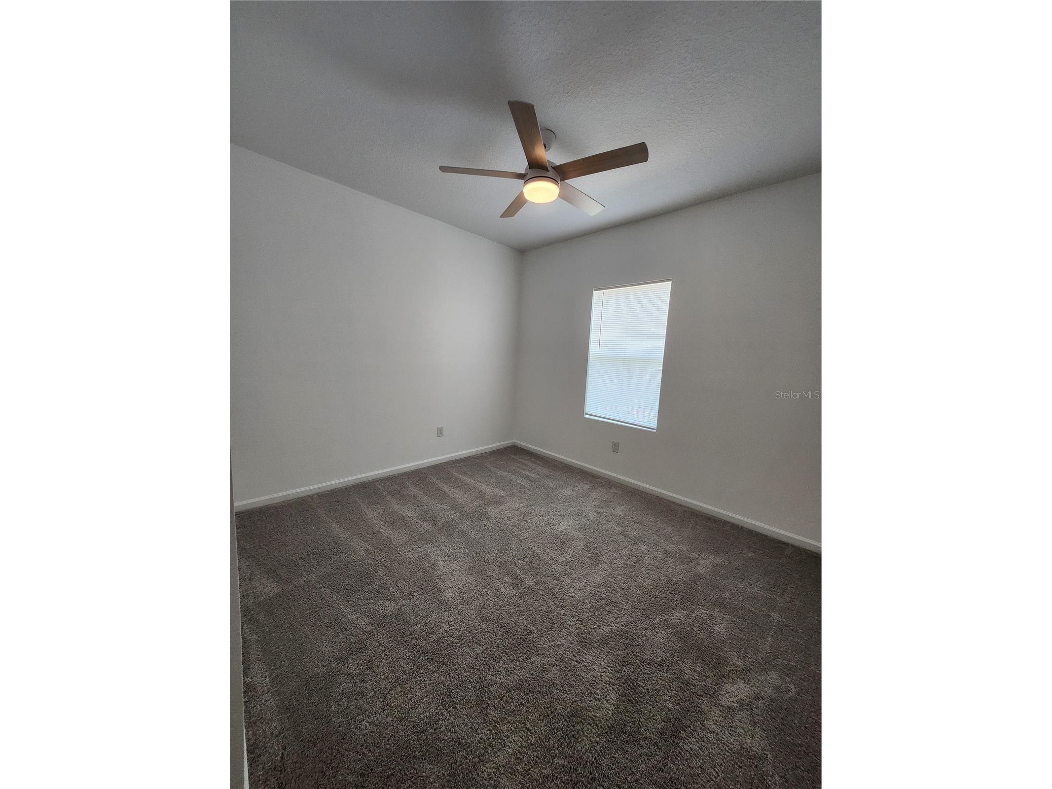 2340 Harris Hawk Avenue Ruskin FL 33570 TB8504833 image16