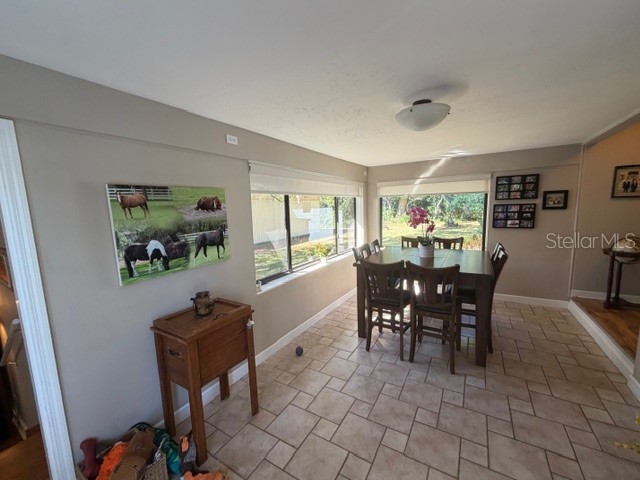 23404 Hobdy Road Sorrento FL 32776 O6387107 image18