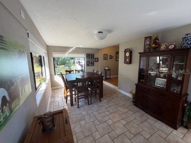 23404 Hobdy Road Sorrento FL 32776 O6387107 image19