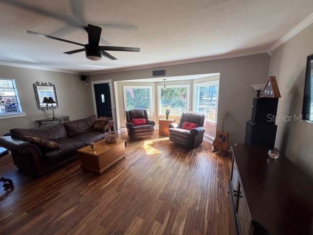 23404 Hobdy Road Sorrento FL 32776 O6387107 image20