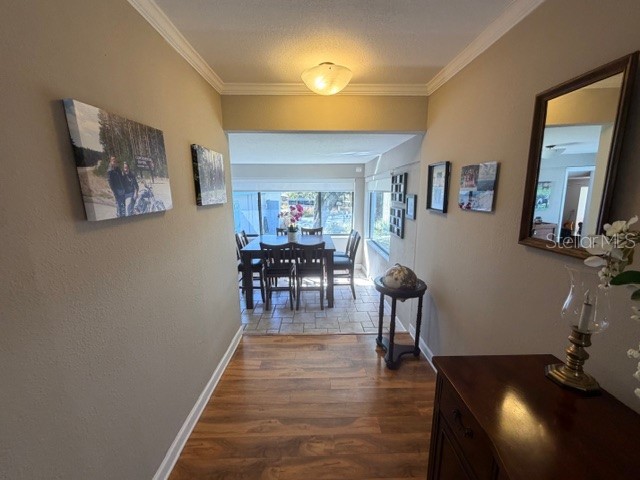 23404 Hobdy Road Sorrento FL 32776 O6387107 image28
