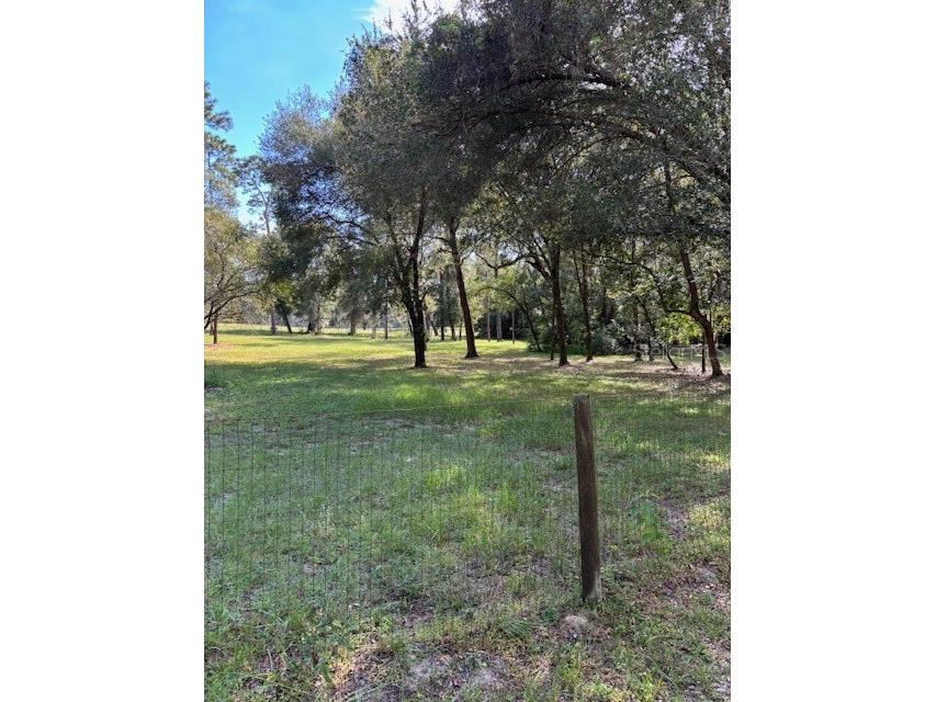 23404 Hobdy Road Sorrento FL 32776 O6387107 image35