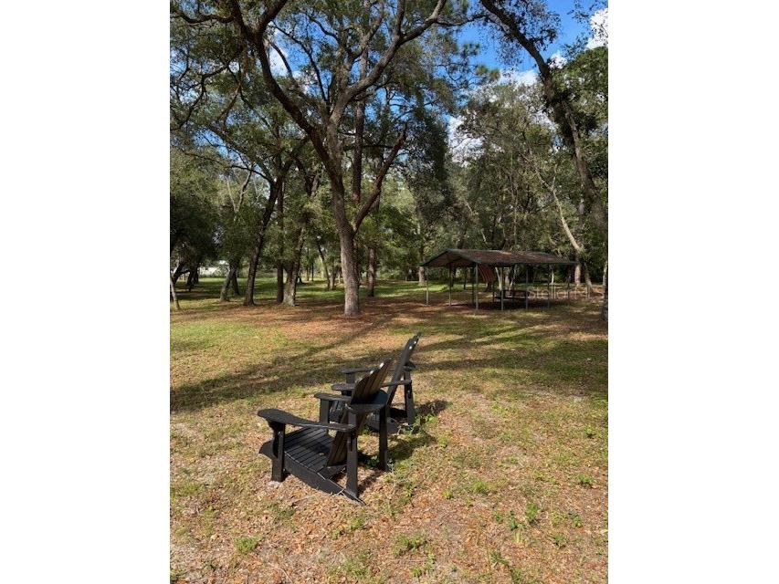 23404 Hobdy Road Sorrento FL 32776 O6387107 image39