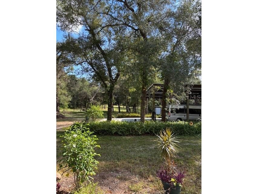 23404 Hobdy Road Sorrento FL 32776 O6387107 image40