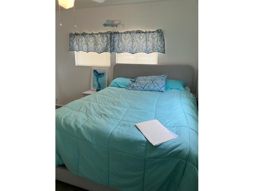 2341 Baron Drive Holiday FL 34690 W7885710 image17