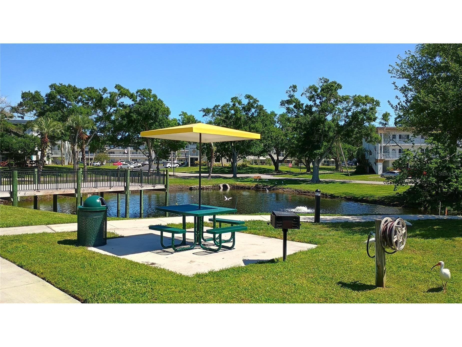 2341 Haitian Drive #55 Clearwater FL 33763 O6398320 image31