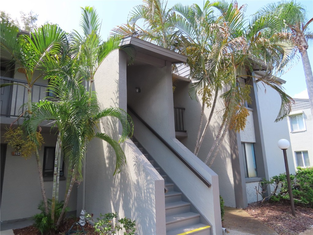 2341 Lake Heather Heights Court #2341 Dunedin FL 34698 U8208452 image1