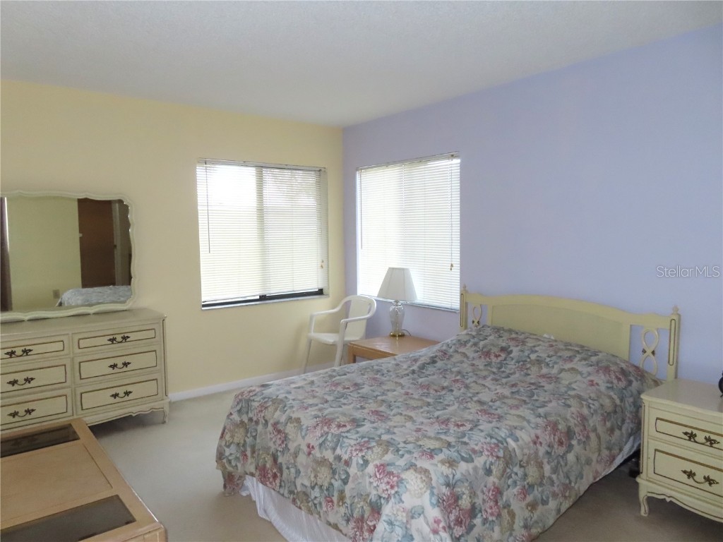 2341 Lake Heather Heights Court #2341 Dunedin FL 34698 U8208452 image11