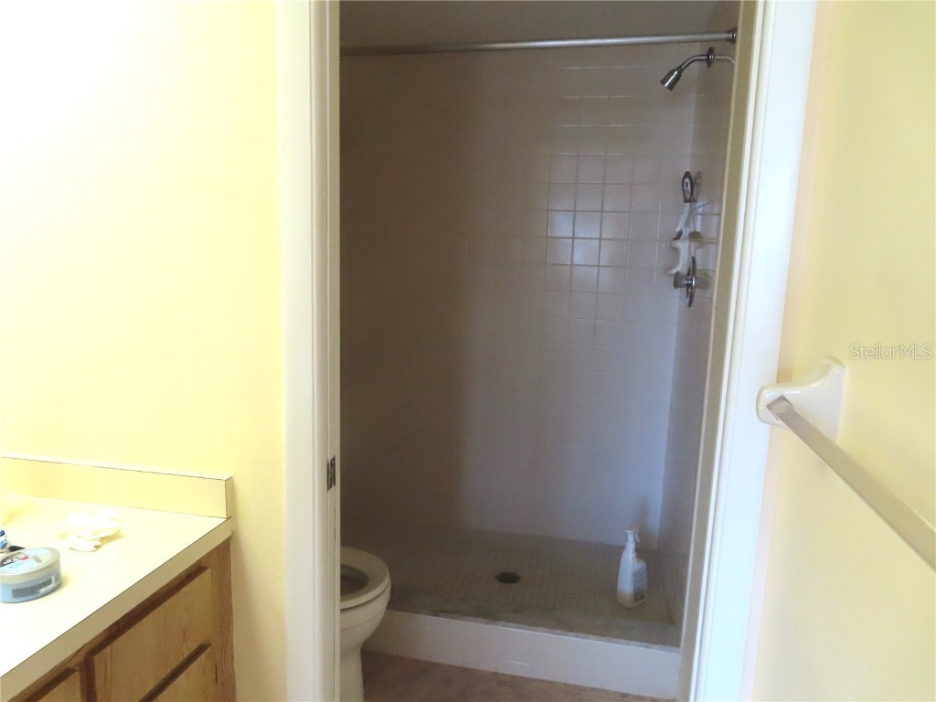 2341 Lake Heather Heights Court #2341 Dunedin FL 34698 U8208452 image13