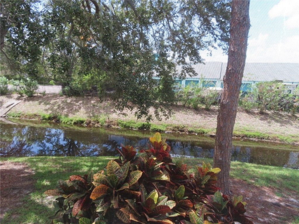 2341 Lake Heather Heights Court #2341 Dunedin FL 34698 U8208452 image2