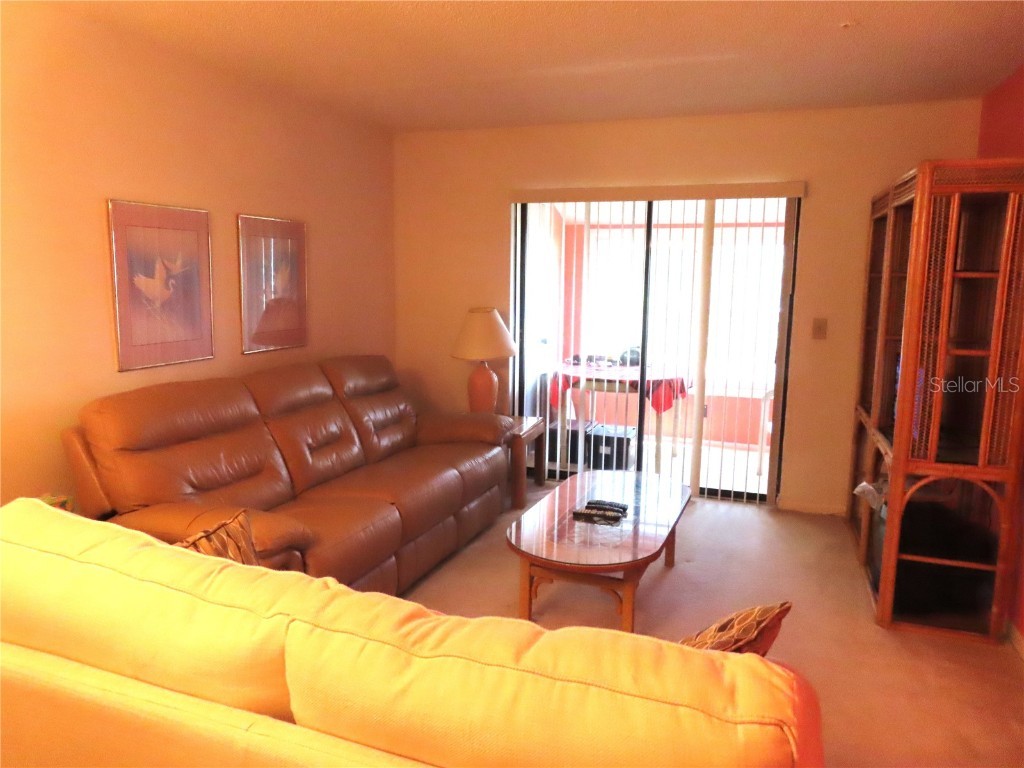 2341 Lake Heather Heights Court #2341 Dunedin FL 34698 U8208452 image5