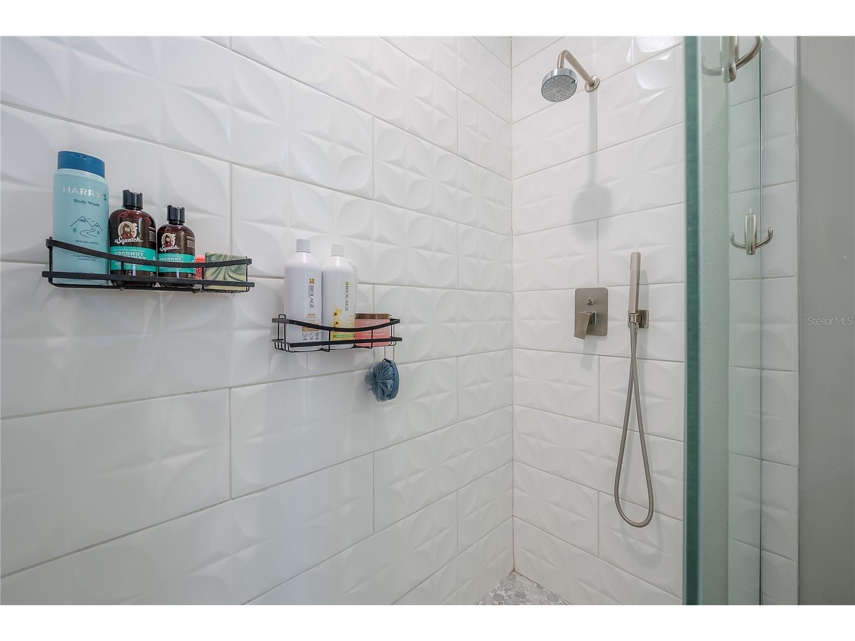 2341 W Chestnut Street Tampa FL 33607 TB8479880 image22