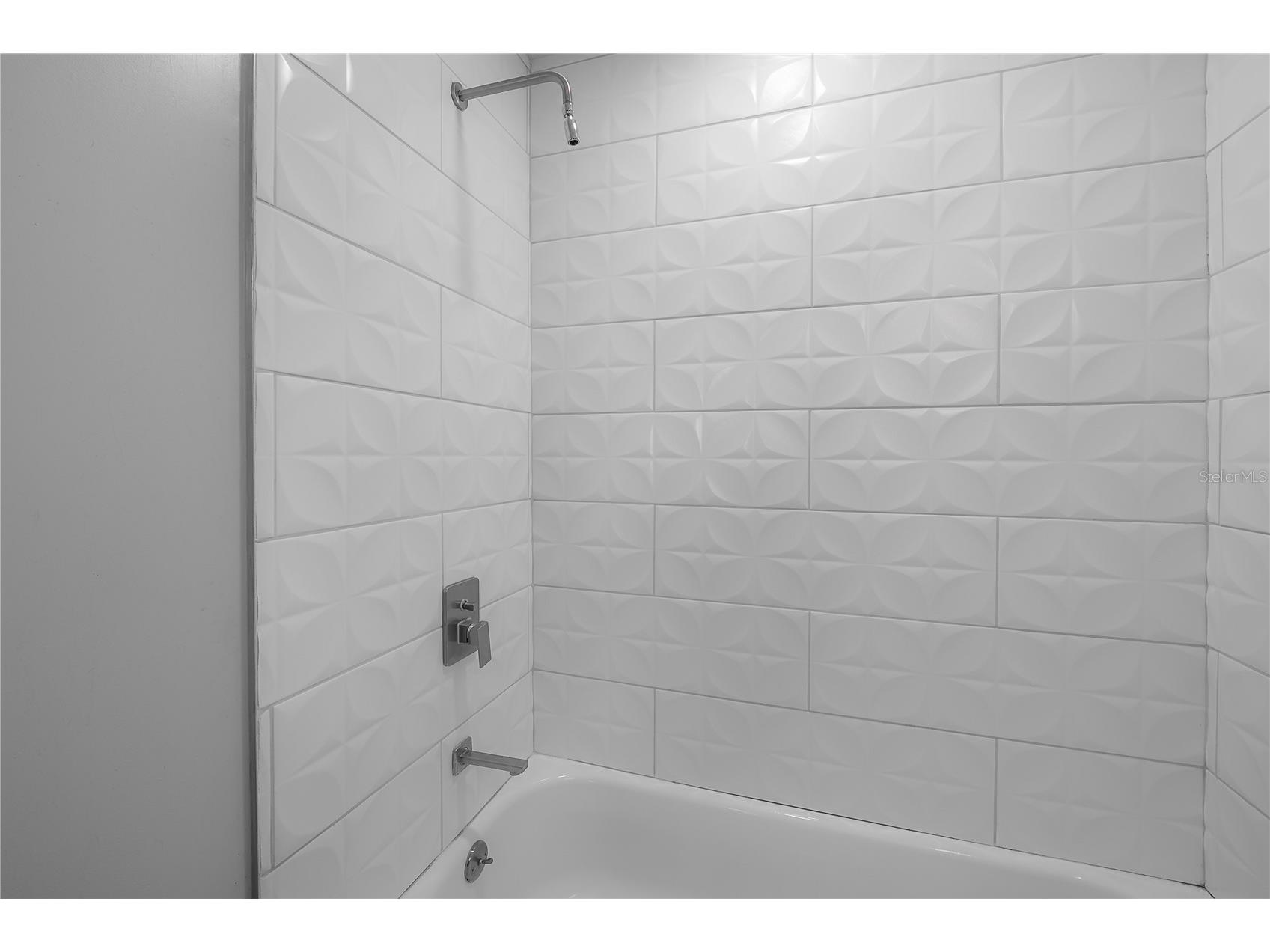 2341 W Chestnut Street Tampa FL 33607 TB8479880 image27