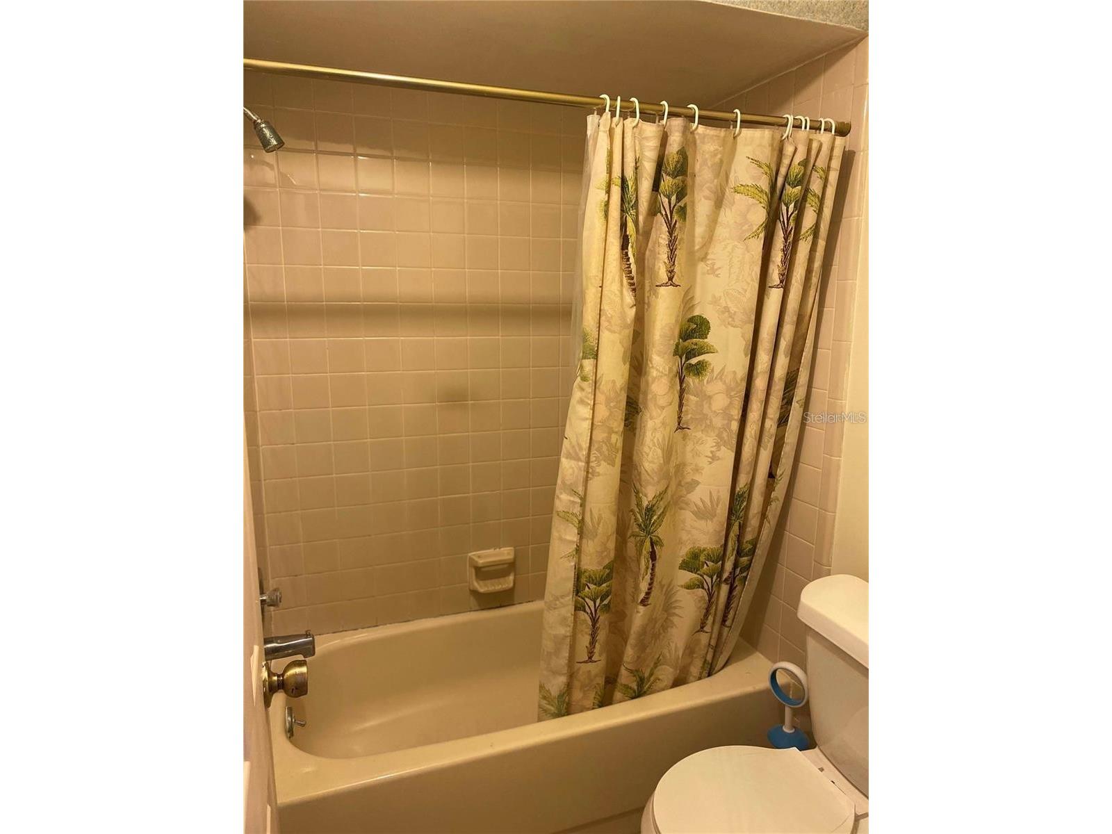 2342 Aruba Ct Kissimmee FL 34741 O6424379 image10