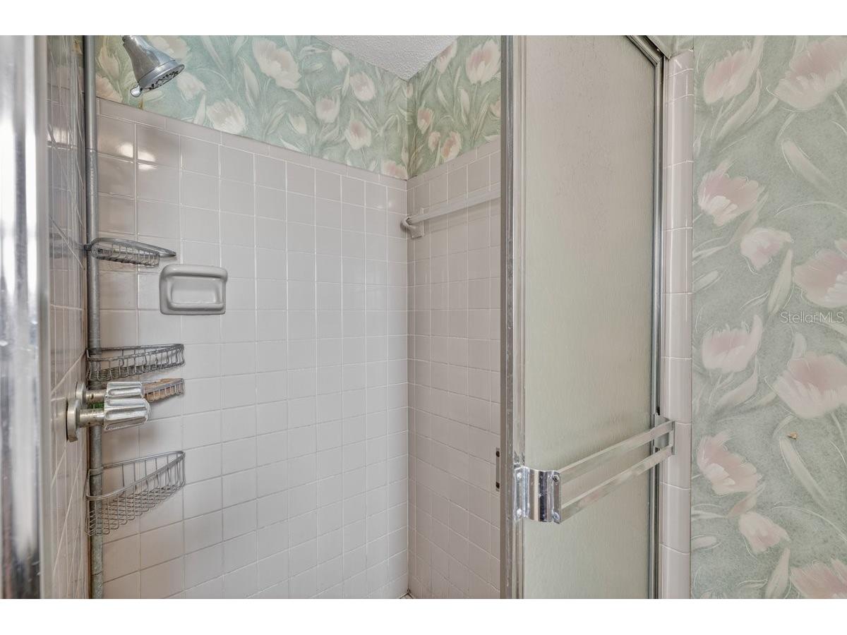 2342 Citrus Avenue South Daytona FL 32119 V4949125 image14
