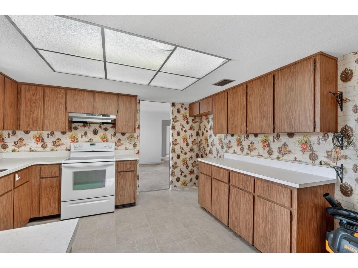 2342 Citrus Avenue South Daytona FL 32119 V4949125 image25