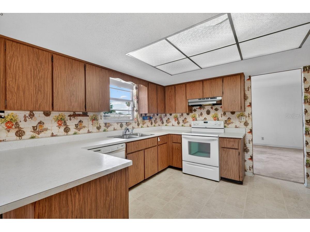2342 Citrus Avenue South Daytona FL 32119 V4949125 image28